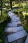 Picture of STEPS IV