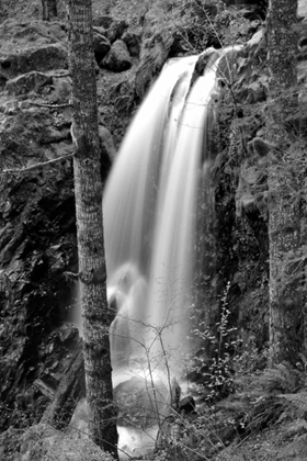 Picture of WATERFALL I