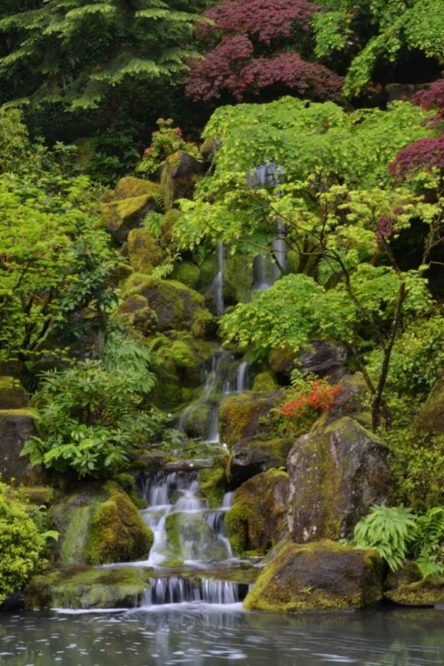 Picture of JAPANESE GARDENS I