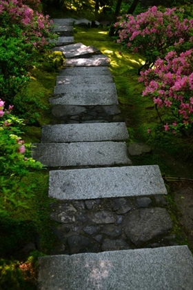Picture of GARDEN STAIRS I