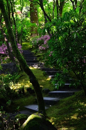 Picture of GARDEN STAIRS II