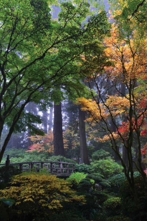 Picture of JAPANESE GARDENS III