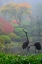Picture of GARDENS IN THE FOG I