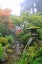 Picture of GARDENS IN THE FOG II