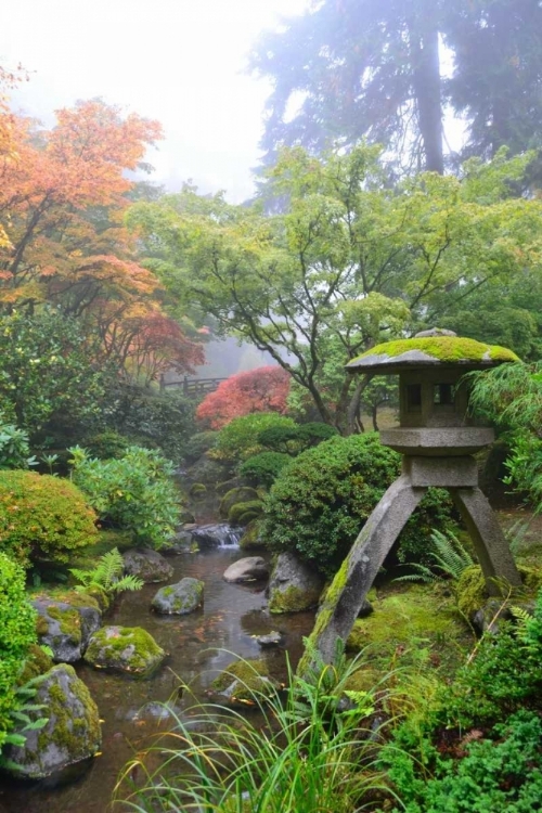 Picture of GARDENS IN THE FOG II