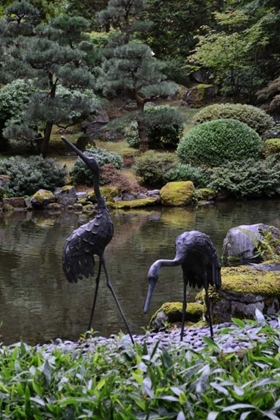 Picture of JAPANESE GARDENS V