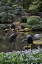 Picture of JAPANESE GARDENS V