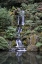 Picture of JAPANESE GARDENS VI