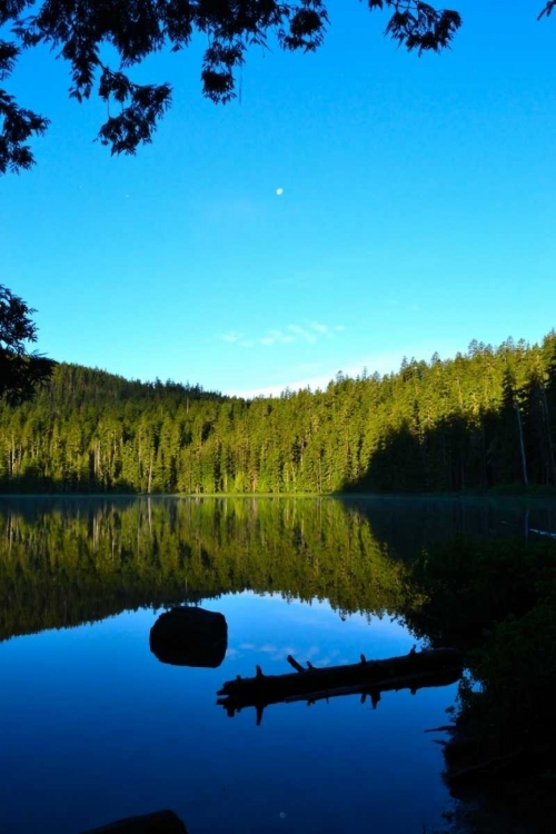 Picture of MORNING AT THE LAKE I