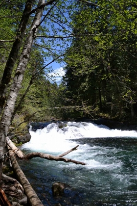 Picture of RAPIDS II