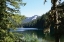 Picture of MORNING AT THE LAKE III