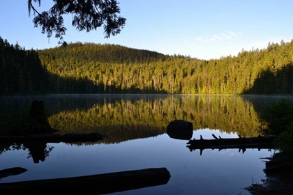 Picture of MORNING AT THE LAKE IV