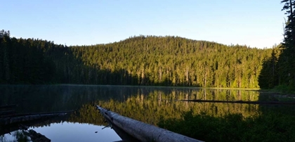 Picture of MORNING AT THE LAKE VI