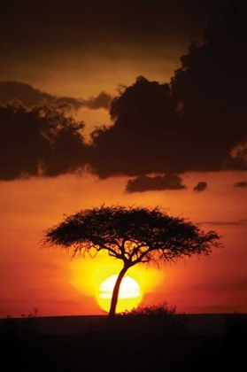 Picture of KENYA SUNRISE