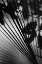 Picture of SHADOW II