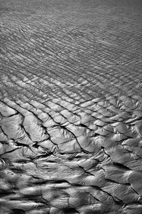 Picture of TEXTURE SAND IV