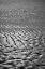 Picture of TEXTURE SAND IV