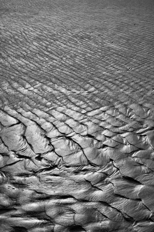 Picture of TEXTURE SAND IV
