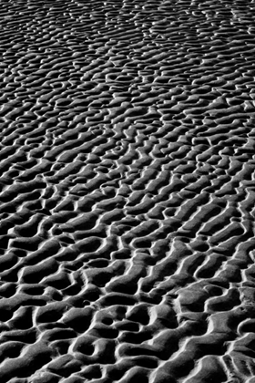 Picture of TEXTURE SAND V
