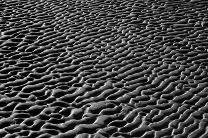 Picture of TEXTURE SAND VI
