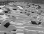 Picture of TAHOE SNOW I