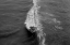 Picture of WAVE I