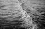 Picture of WAVE II