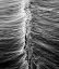 Picture of WAVE V