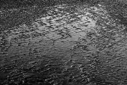 Picture of BEACH REFLECTION I