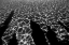 Picture of WAVE