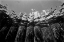 Picture of PIER PILINGS I