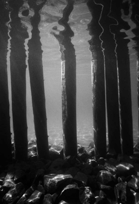 Picture of PIER PILINGS V