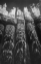 Picture of PIER PILINGS VII