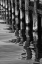 Picture of PIER PILINGS VIII