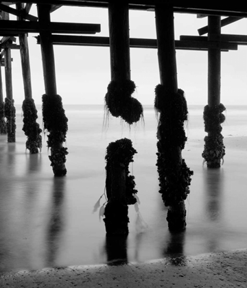 Picture of PIER PILINGS X