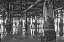 Picture of PIER PILINGS XI