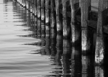 Picture of PIER PILINGS XII
