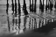 Picture of PIER PILINGS XIII