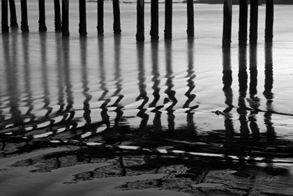 Picture of PIER PILINGS XIV