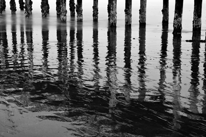 Picture of PIER PILINGS XV