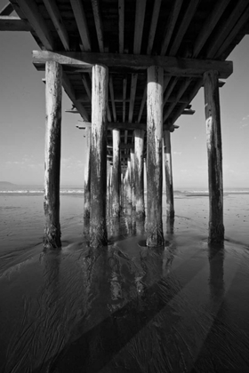 Picture of PIER PILINGS XVI
