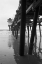 Picture of PIER PILINGS XVII