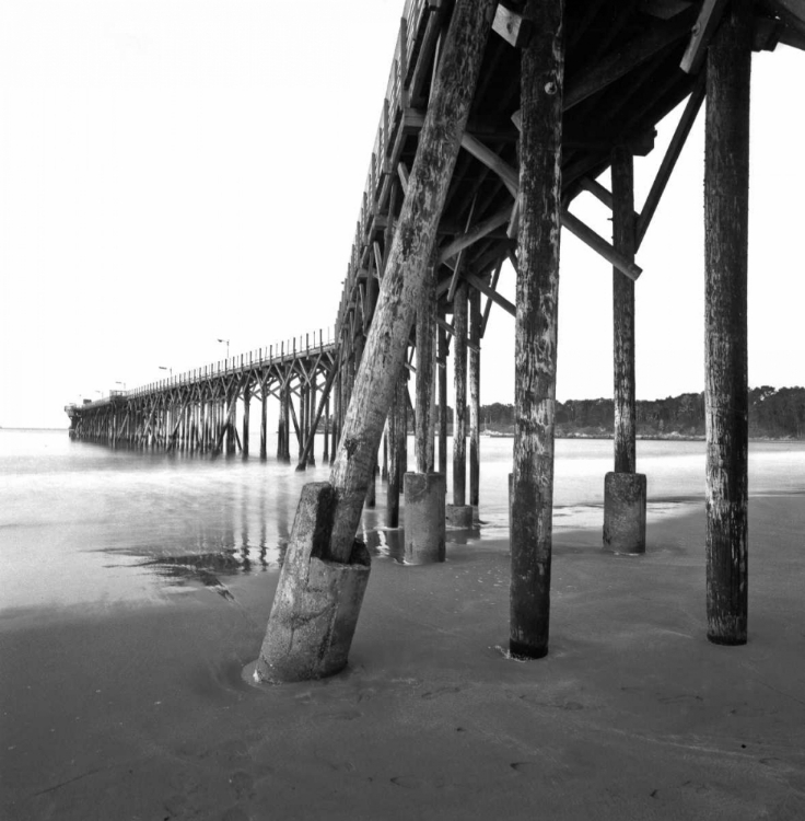 Picture of PIER PILINGS XIX