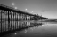 Picture of PIER NIGHT II