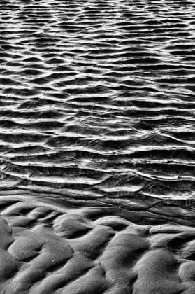 Picture of TEXTURE SAND IX