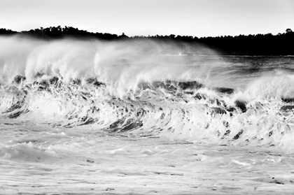 Picture of CARMEL WAVES II