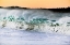 Picture of CARMEL WAVES II