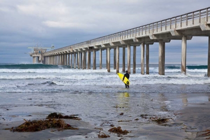 Picture of SCRIPPS PIER I