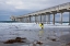 Picture of SCRIPPS PIER I