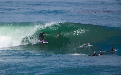 Picture of SURFING VII